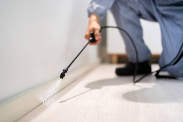 Certified termite inspector examining foundation in Greenville